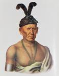 Wakechai or 'Crouching Eagle', a Sauk Chief, illustration from 'The Indian Tribes of North America, Vol.2', by Thomas L. McKenney and James Hall, pub. by John Grant (colour litho)