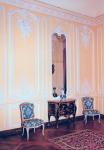 Salon Jaune, Louis XV style (photo)