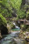 Visitors walking on wooden walkways which run the length of the Vintgar Gorge near Bled, Triglav, National Park, Upper Carniola, Slovenia (photo)