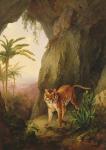 Tiger in a cave, c.1814 (oil on panel)