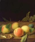 Fruit Still Life, 1730 (oil on canvas)
