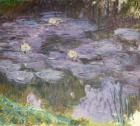 Waterlilies, 1917 (oil on canvas)