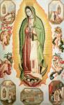 The Virgin of Guadalupe (oil on panel)