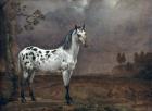 The Piebald Horse, 1653 (oil on canvas)