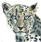 Leopard, 2015, (watercolour on paper)