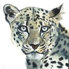 Leopard, 2015, (watercolour on paper)