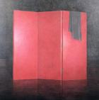 Red Screen, 2005 (acrylic on canvas)