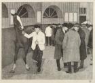 Horse Dealers at the Barbican, 1921 (litho)