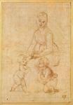 Study of the Virgin for 'La Belle Jardinière' or Madonna and Child with Saint John the Baptist (ink on paper)