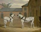 Mr. Sowerby's Grey Carriage Horses in his Coachyard at Putteridge Bury, Hertfordshire, 1836 (oil on canvas)