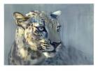 Predator II (Arabian Leopard), 2009 (oil on paper)