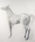 Kicking Off, Series 3, 2011 (graphite on paper)