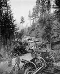 Supply Waggons in Italy during World War I (b/w photo)