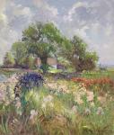 White Barn and Iris Field, 1992