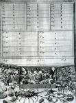 Table II from 'Elenchus Tabularum' by Levinus Vincent, published 1719 (engraving)