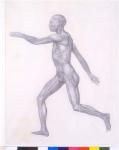 The Human Figure, lateral view, from the series 'A Comparative Anatomical Exposition of the Structure of the Human Body with that of a Tiger and a Common Fowl, 1795-1806 (graphite on paper)