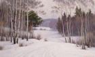 Woodland Trail in Winter