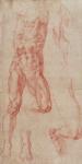 W.13r Study of a male nude, stretching upwards (chalk on paper)