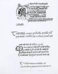 Specimens of Irish Manuscripts, c.1300-1588 (engraving) (b&w photo)
