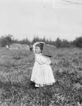 Eight year old Jennie Camillo from Philadelphia picking cranberries at Theodore Budd's Bog, Turkeytown, near Pemberton, New Jersey, 1910 (b/w photo)