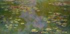 Water Lilies, 1919 (oil on canvas)