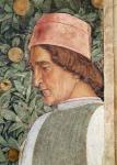 Hores and groom with hunting dogs, from the Camera degli Spose or Camera Picta, detail of the head of a groom, 1465-74 (fresco) (detail of 78449)