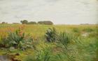 Between Geest and Marsh, c.1880 (oil on paper on wood)