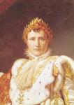 Napoleon I (1769-1821) in Coronation Robes, c.1804 (oil on canvas) (detail of 57327)