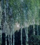 Birch Trees (oil on canvas)