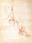 Study of a lower leg and foot (red chalk on paper) (recto)