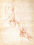 Study of a lower leg and foot (red chalk on paper) (recto)