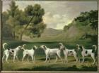 Foxhounds in a landscape, 1762