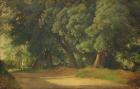 Oak Trees in Holstein (oil on paper on wood)