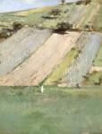 A Hillside, Giverny, 1887 (oil on canvas)