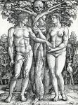 The Fall of Adam and Eve, c.1525-27 (woodcut)