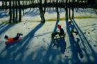 Boys Sledging, Allestree Park, Derby (oil on canvas)