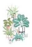 Houseplants Portrait