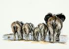 Elephant bottoms, 2013, (mixed media on paper)