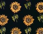 Velours au Sabre: silk decoration of Sunflowers by Maison Ogier and Duplan, Lyon 1894 (textile)