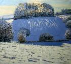 Field of shadows, near Youlgrave, Derbyshire (oil on canvas)