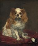 A King Charles Spaniel, c.1866 (oil on linen)