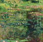 The Waterlily Pond, 1904 (oil on canvas)