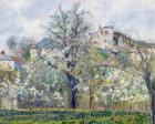 The Vegetable Garden with Trees in Blossom, Spring, Pontoise, 1877 (oil on canvas)
