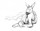Resting Athlete (Red Kangaroo), 2012, (graphite on paper)