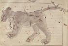 The Great Bear, from the Book of the Stars after El Hussein (vellum)
