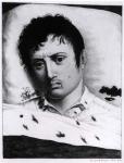 Observation of Yellow Fever, c.1819 (litho) (b/w photo)