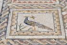 Italica, Spain. Mosaics (photo)
