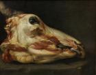 Skinned Head of a Young Bull, c.1690 (oil on canvas)