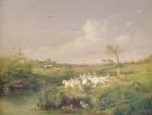 Geese Grazing, 1854 (oil on canvas)