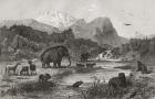Pliocene Landscape (engraving)